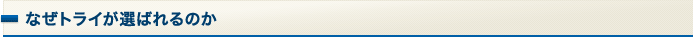 なぜトライが選ばれるのか